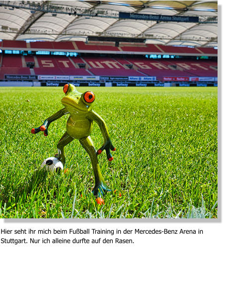 Hier seht ihr mich beim Fußball Training in der Mercedes-Benz Arena in Stuttgart. Nur ich alleine durfte auf den Rasen.