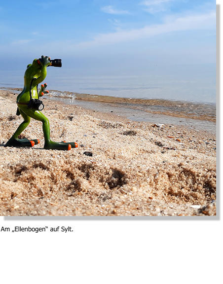 Am „Ellenbogen“ auf Sylt.