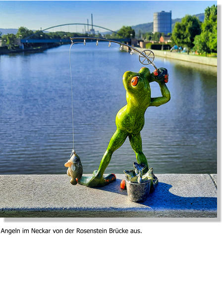 Angeln im Neckar von der Rosenstein Brücke aus.