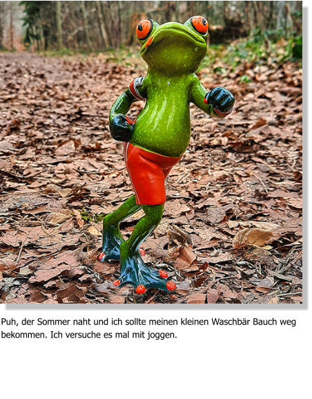 Puh, der Sommer naht und ich sollte meinen kleinen Waschbär Bauch weg bekommen. Ich versuche es mal mit joggen.