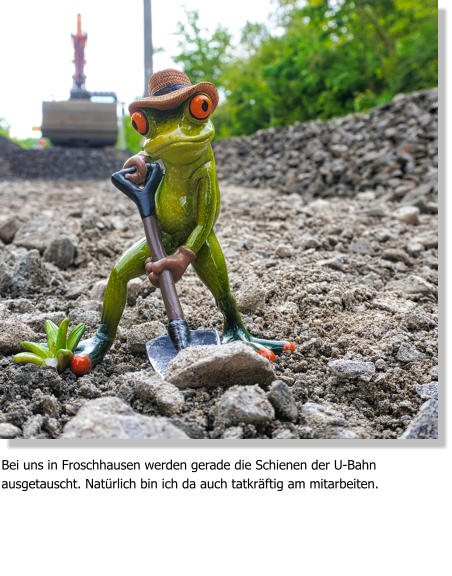 Bei uns in Froschhausen werden gerade die Schienen der U-Bahn ausgetauscht. Natürlich bin ich da auch tatkräftig am mitarbeiten.