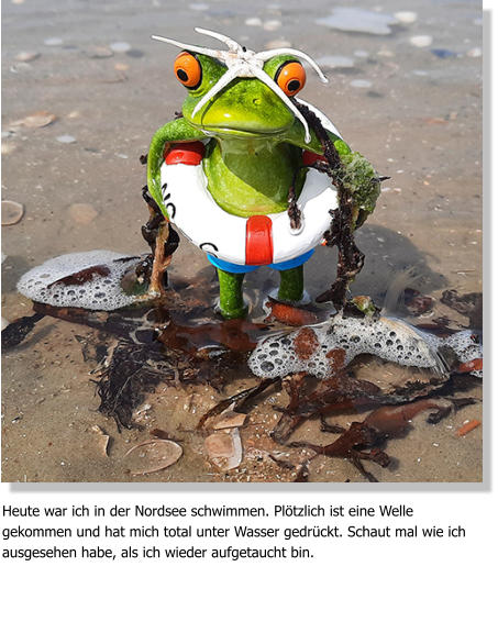 Heute war ich in der Nordsee schwimmen. Plötzlich ist eine Welle gekommen und hat mich total unter Wasser gedrückt. Schaut mal wie ich ausgesehen habe, als ich wieder aufgetaucht bin.