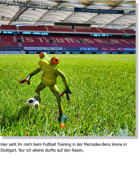 Hier seht ihr mich beim Fußball Training in der Mercedes-Benz Arena in Stuttgart. Nur ich alleine durfte auf den Rasen.