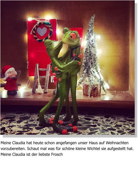 Meine Claudia hat heute schon angefangen unser Haus auf Weihnachten vorzubereiten. Schaut mal was für schöne kleine Wichtel sie aufgestellt hat. Meine Claudia ist der liebste Frosch