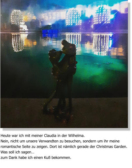 Heute war ich mit meiner Claudia in der Wilhelma. Nein, nicht um unsere Verwandten zu besuchen, sondern um ihr meine romantische Seite zu zeigen. Dort ist nämlich gerade der Christmas Garden. Was soll ich sagen… zum Dank habe ich einen Kuß bekommen.