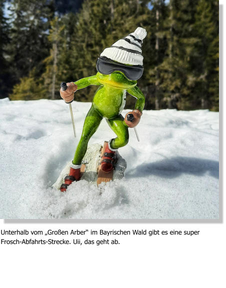 Unterhalb vom „Großen Arber“ im Bayrischen Wald gibt es eine super Frosch-Abfahrts-Strecke. Uii, das geht ab.