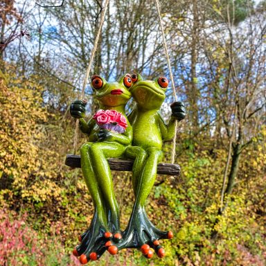 Froschpaar auf Schaukel Froschpaar auf Schaukel
