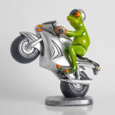 Biker macht einen Wheelie Biker macht einen Wheelie