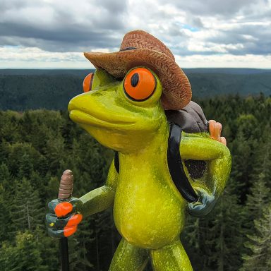Robert beim Baumwipfelpfad Schwarzwald